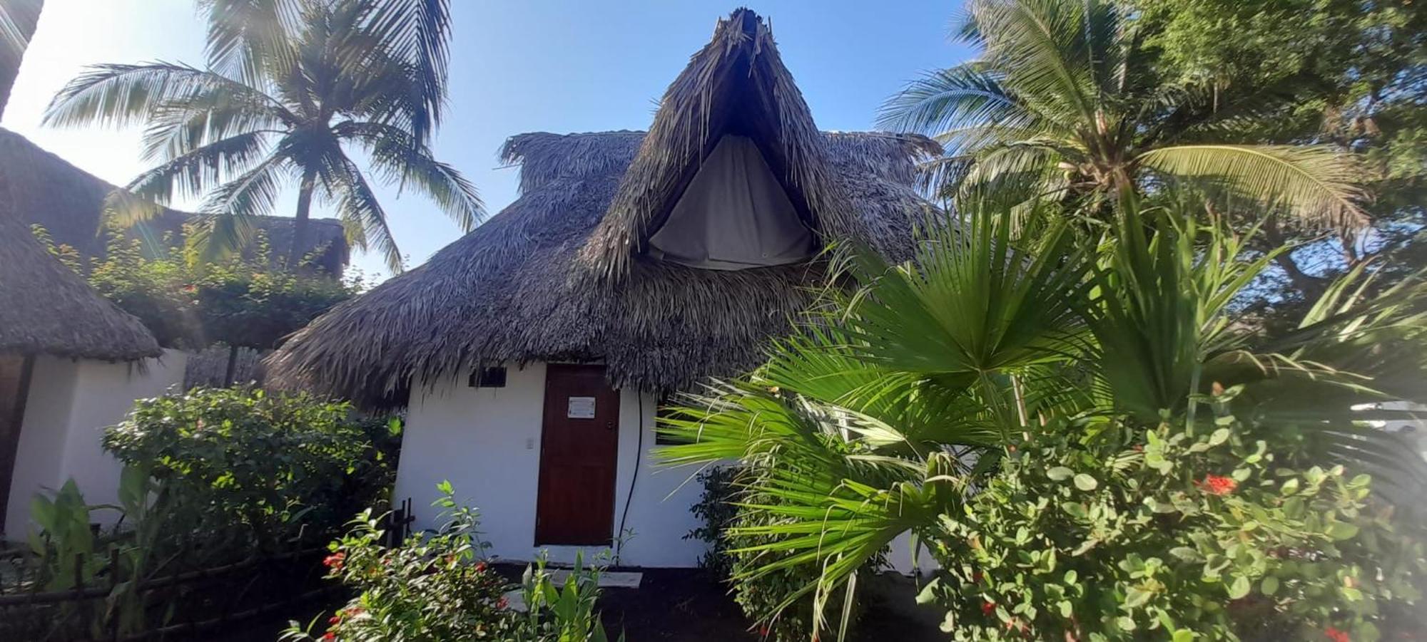 Paredon Surf House Hotel El Paredon Buena Vista Exterior photo